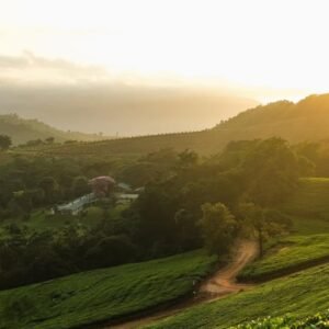 HONDE VALLEY - ABERFOYLE LODGE