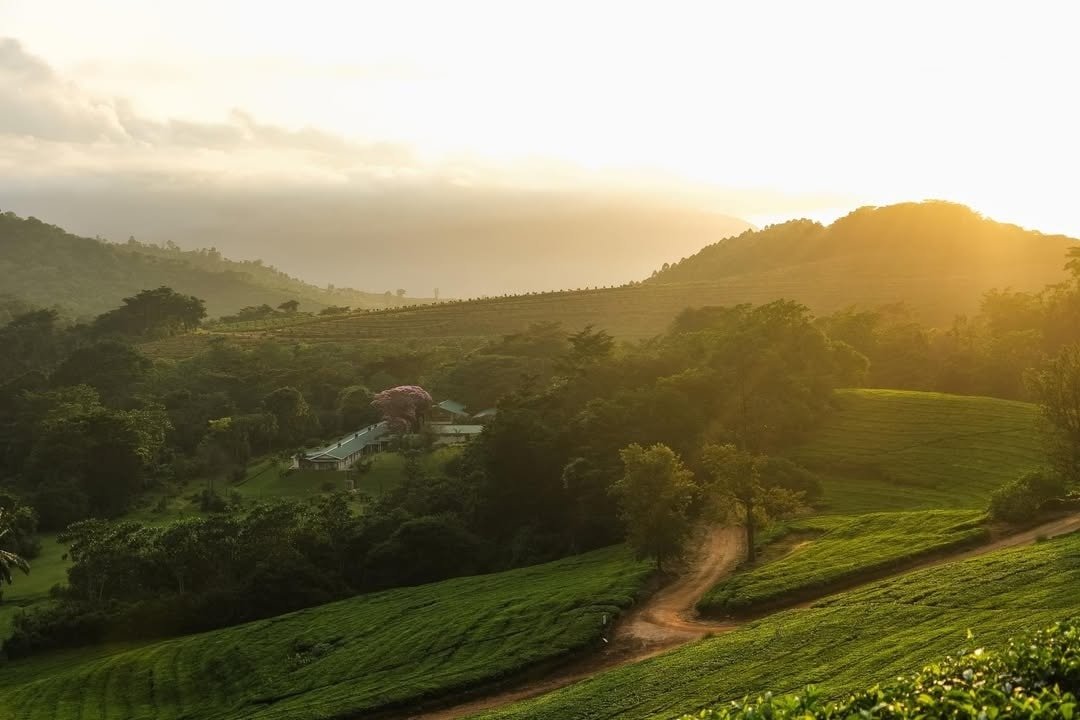 HONDE VALLEY - ABERFOYLE LODGE